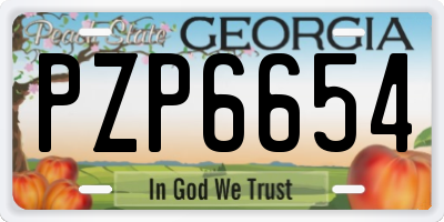 GA license plate PZP6654