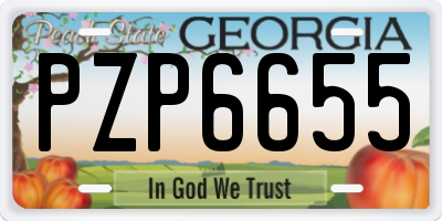 GA license plate PZP6655