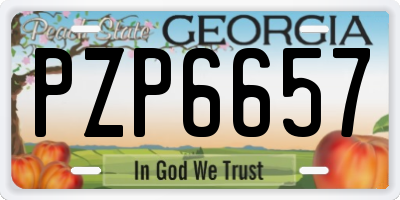 GA license plate PZP6657
