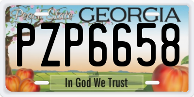 GA license plate PZP6658