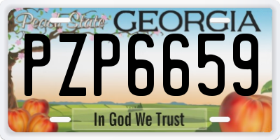 GA license plate PZP6659