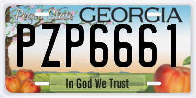 GA license plate PZP6661
