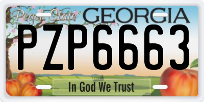 GA license plate PZP6663