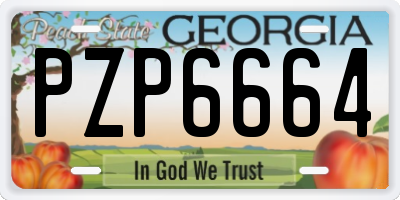 GA license plate PZP6664