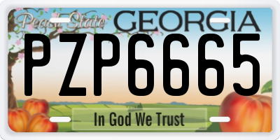 GA license plate PZP6665
