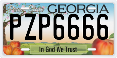 GA license plate PZP6666