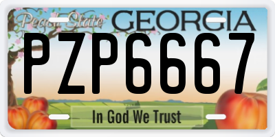GA license plate PZP6667