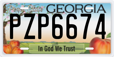 GA license plate PZP6674