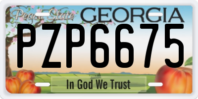 GA license plate PZP6675