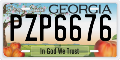 GA license plate PZP6676