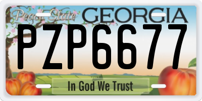 GA license plate PZP6677