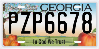 GA license plate PZP6678