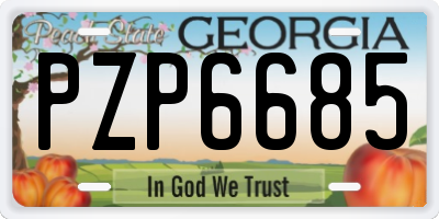 GA license plate PZP6685