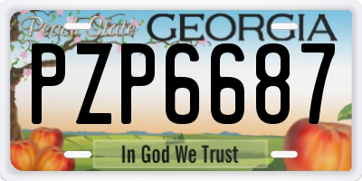 GA license plate PZP6687