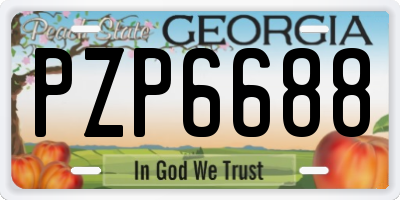 GA license plate PZP6688