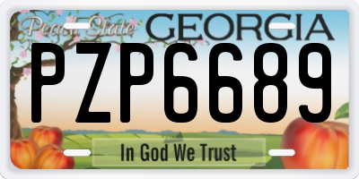 GA license plate PZP6689