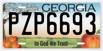 GA license plate PZP6693