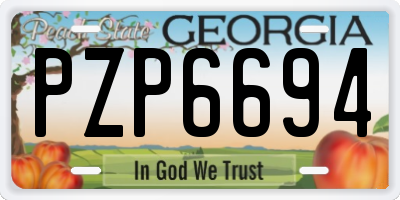 GA license plate PZP6694