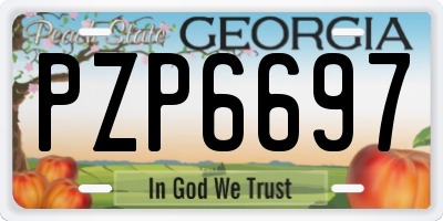 GA license plate PZP6697