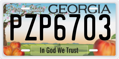 GA license plate PZP6703