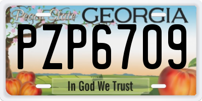GA license plate PZP6709