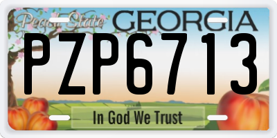 GA license plate PZP6713