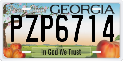 GA license plate PZP6714