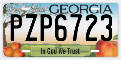 GA license plate PZP6723