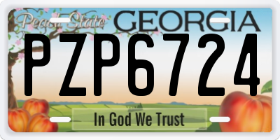 GA license plate PZP6724