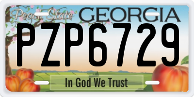 GA license plate PZP6729