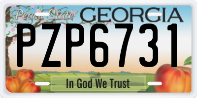 GA license plate PZP6731