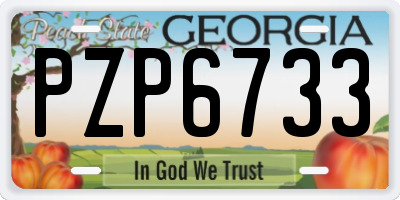 GA license plate PZP6733