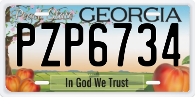 GA license plate PZP6734