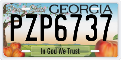 GA license plate PZP6737