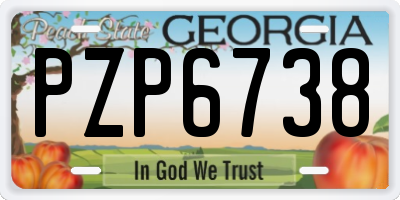 GA license plate PZP6738