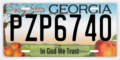 GA license plate PZP6740