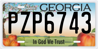 GA license plate PZP6743