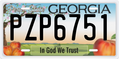 GA license plate PZP6751