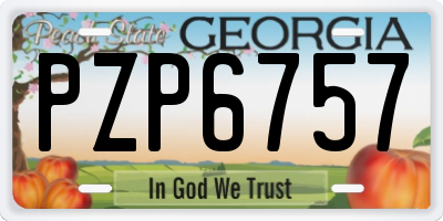 GA license plate PZP6757