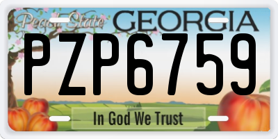 GA license plate PZP6759
