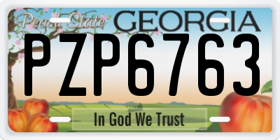 GA license plate PZP6763