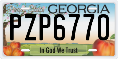 GA license plate PZP6770