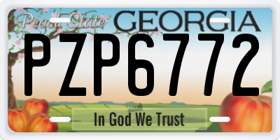 GA license plate PZP6772