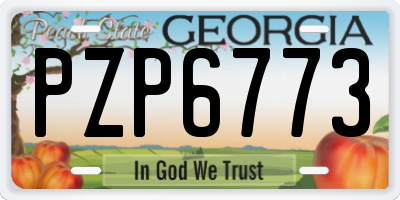 GA license plate PZP6773