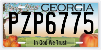 GA license plate PZP6775