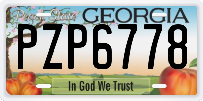 GA license plate PZP6778