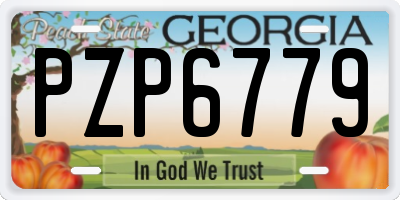 GA license plate PZP6779