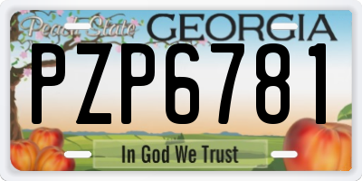 GA license plate PZP6781