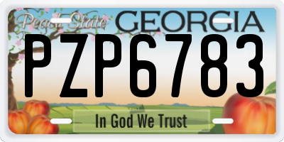 GA license plate PZP6783