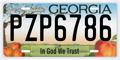GA license plate PZP6786